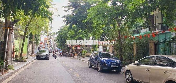 Bán Nhà Biệt Thự Trích Sài Võng Thị  95Ty 170m2  mặt 13m Tây Hồ