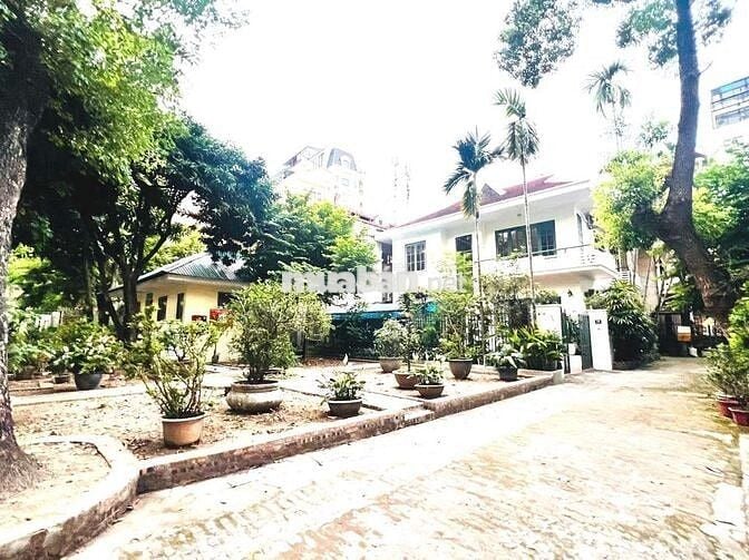Bán Nhà Biệt Thự Trích Sài Võng Thị  95Ty 170m2  mặt 13m Tây Hồ
