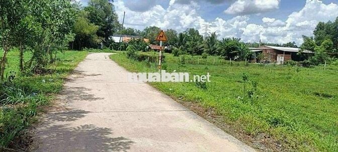 2 lô thổ vườn 521m2, 500m2 đường Nguyễn Thị Rành, Nhuận Đức, SHR 780tr