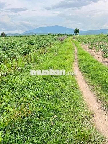 chỉ 99tr sổ hồng sang tay có ngay lô đất vườn đẹp vuông vức