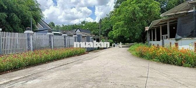 2 lô thổ vườn 521m2, 500m2 đường Nguyễn Thị Rành, Nhuận Đức, SHR 780tr