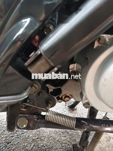 Yamaha novou 1 trùm mền zin cọp