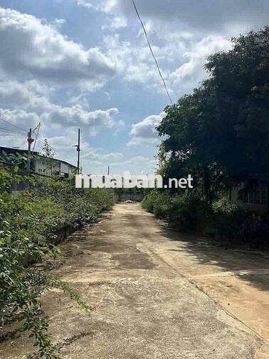 Bán Nhà Kho Khánh Xuân hơn 400m2 giá mềm
