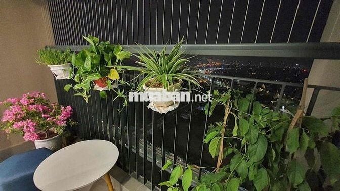 chính chủ gửi bán căn 2N1W 55m2 toà S203 Vinhomes Smart City
