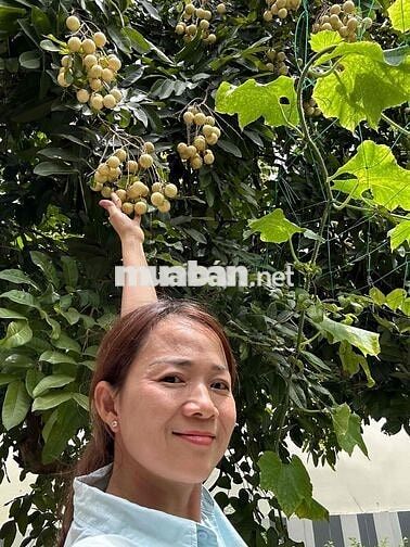 Biêth Thự Siêu Vip- Hoàn Công Mt Bế Văn Đàn - Giá Đầu Tư