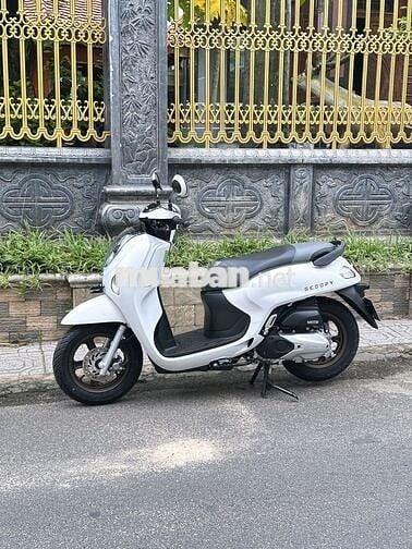 Bán xe Scoppy kèm biển đấu giá vip