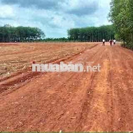 Đất diện tích rộng cạnh KCN 4200ha giá rẻ