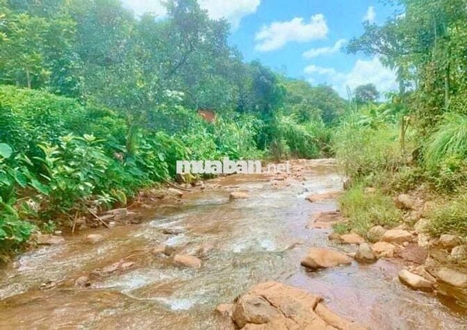 Đất Nền Thổ Cư Sổ Sẵn Giá Rẻ - Giáp 2 Khu Công Nghiệp