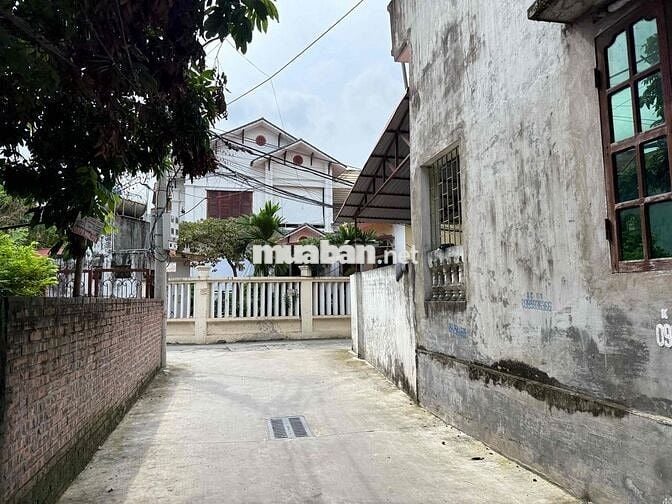 🔥LÔ GÓC VÂN NỘI – Ô TÔ VÀO ĐẤT – GIÁ CHỈ HƠN 4 T.Ỷ XÍU🔥