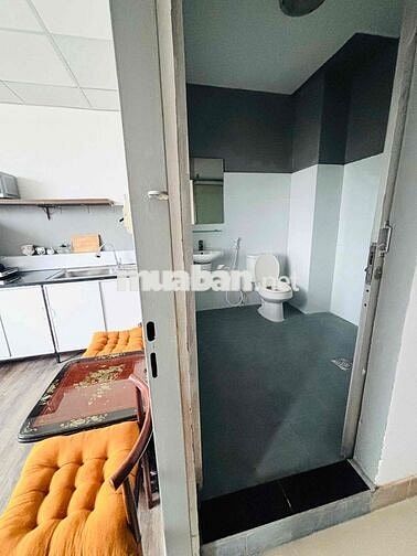 Chính chủ cho thuê căn hộ 1PN, bếp riêng, Phú Mỹ Hưng, Quận 7