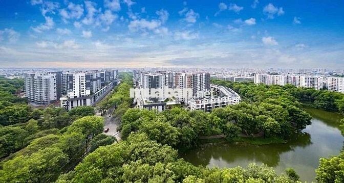 căn hộ đầy đủ nội thất- khu phức hợp celadon