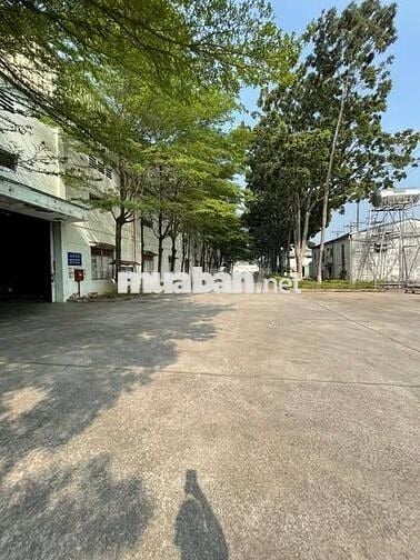 ban kho xưởng giá rẻ khu công nghiêp tân uyên binh dương