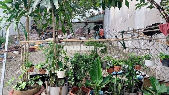 BÁN ĐẤT TÂN PHÚ CHƯA TỚI 81TR/1M2 4.1X20 GIÁ 6.7 TỶ TL KHÔNG LỘ GIỚI