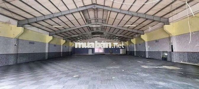 MB đẹp Chánh Nghĩa gần ngã 6 Chợ Bd, 700m2, ngang 20m dài 35m chỉ 35tr