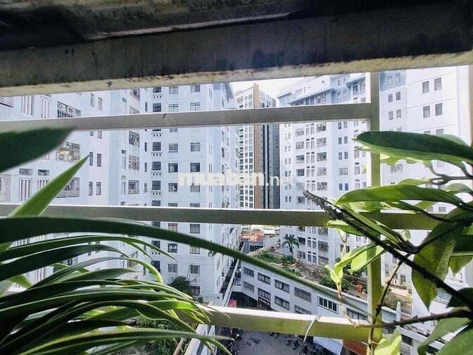 THƠM KÈO GÕ CỬA CC SỐ 1 TÔN THẤT  THUYẾT - VỊ TRÍ Ở NGAY BẾN VÂN ĐỒN