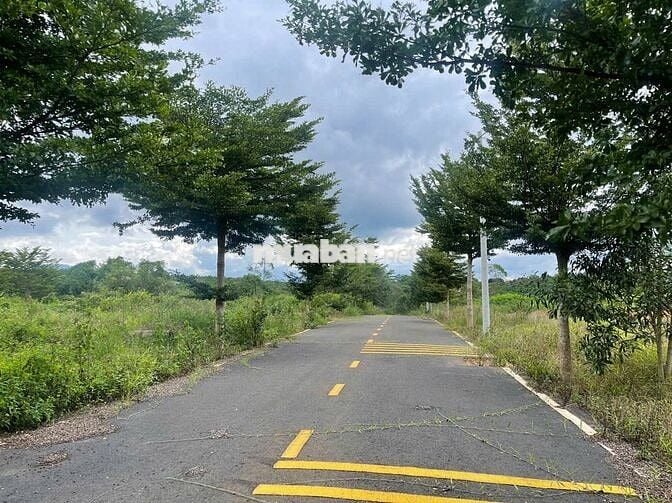 Bán lô đất 110m² Lộc An – Bảo Lâm 2, gần Quốc lộ 20, phong thủy tốt