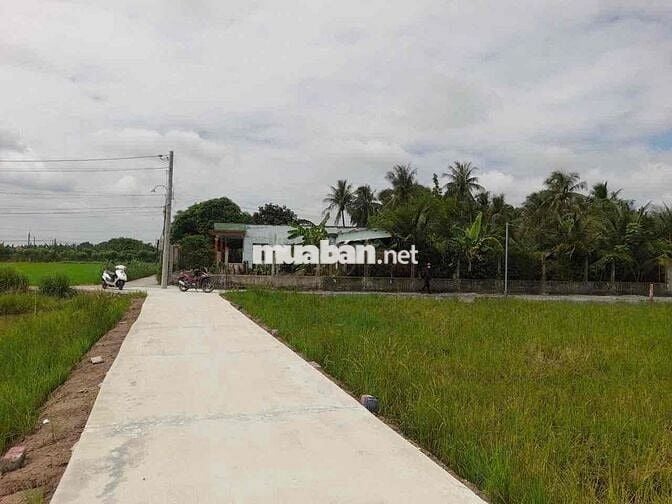 đường xe tải DT :120m2, giá : 395tr , đức tân - tân trụ - long an