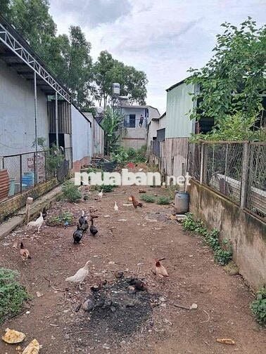 chủ gửi bán lô đất nền mặt tiền giồng sắn khu dân cư đông kín