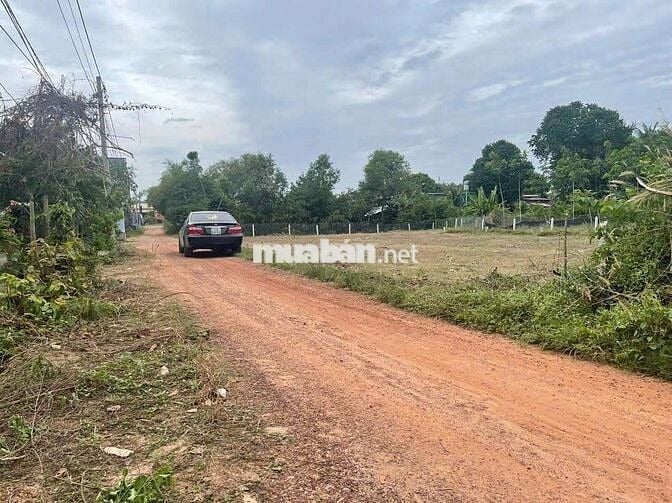 Chính chủ bán gấp (9x20)195m2, SHR, Hưng Thuận, Trảng Bàng, Giá 550tr.