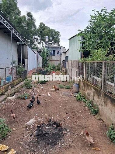 chủ gửi bán lô đất nền mặt tiền giồng sắn khu dân cư đông kín