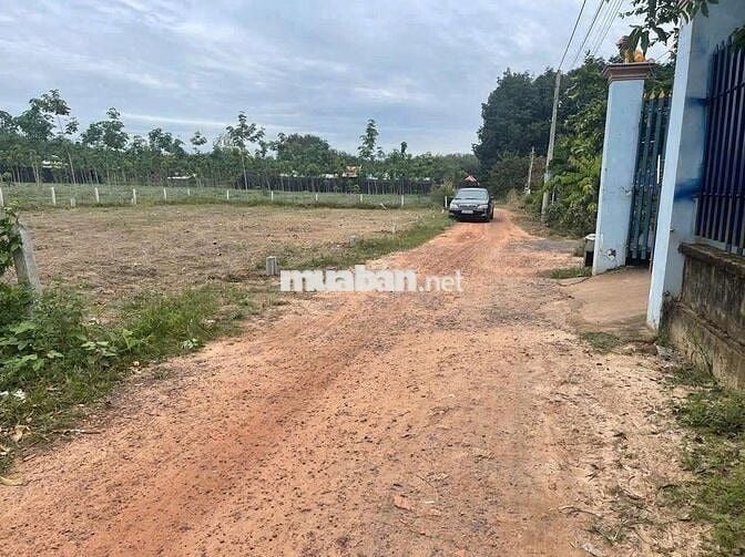 Chính chủ bán gấp (9x20)195m2, SHR, Hưng Thuận, Trảng Bàng, Giá 550tr.
