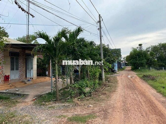 Chính chủ bán gấp (9x20)195m2, SHR, Hưng Thuận, Trảng Bàng, Giá 550tr.