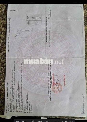Bán lô đất 3300m2, mặt tiền đường nhựa (2 mặt tiền)