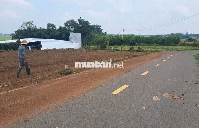 ✅ 11 Lô Góc 2 mặt tiền, 2600m2