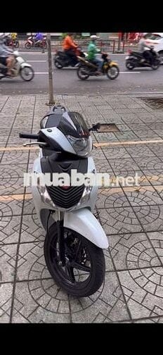 SH 150i 80.000.000