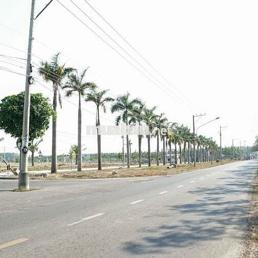 75m² _ 750 triệu _ Full thổ _OĐT_ Tp HCM