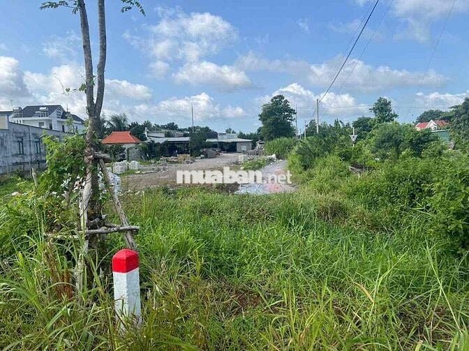 Bán lô đất 3300m2, mặt tiền đường nhựa (2 mặt tiền)