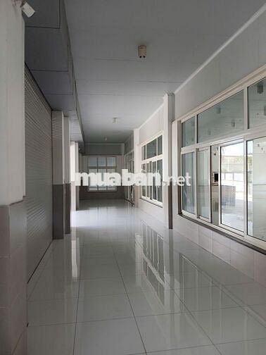 Chính chủ: Kho xưởng 5000m2 - MT Dương Đình Cúc- HH 1/2 tháng.