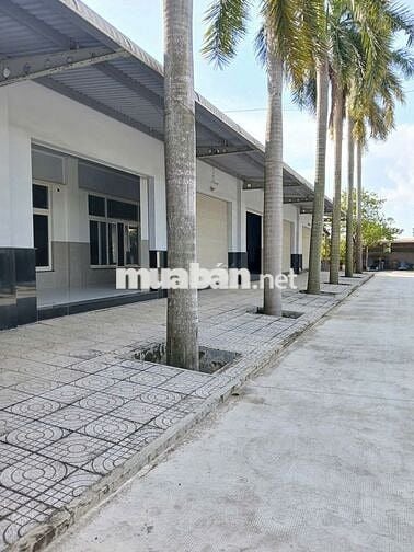 Chính chủ: Kho xưởng 5000m2 - MT Dương Đình Cúc- HH 1/2 tháng.