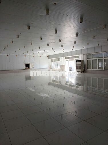 Chính chủ: Kho xưởng 5000m2 - MT Dương Đình Cúc- HH 1/2 tháng.