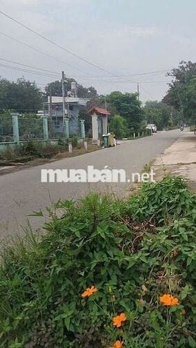 Đất thổ cư chính chủ có sẵn nhà cấp 4 cũ!