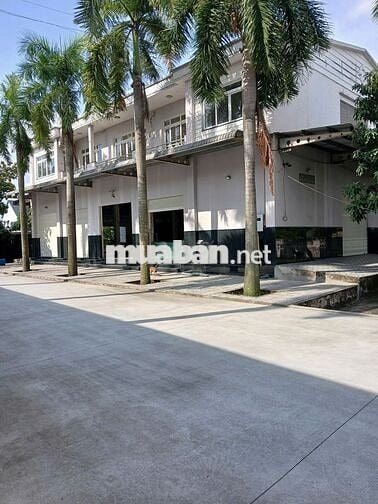 Chính chủ: Kho xưởng 5000m2 - MT Dương Đình Cúc- HH 1/2 tháng.