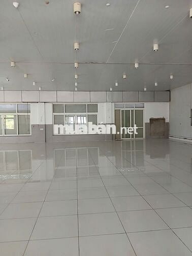 Chính chủ: Kho xưởng 5000m2 - MT Dương Đình Cúc- HH 1/2 tháng.