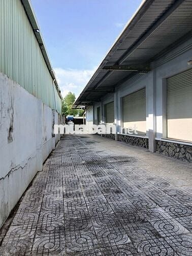 Chính chủ: Kho xưởng 5000m2 - MT Dương Đình Cúc- HH 1/2 tháng.