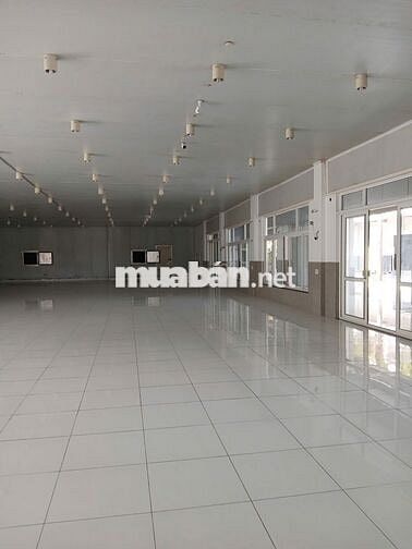 Chính chủ: Kho xưởng 5000m2 - MT Dương Đình Cúc- HH 1/2 tháng.