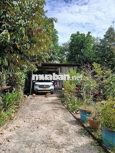 Đất thổ cư chính chủ có sẵn nhà cấp 4 cũ!