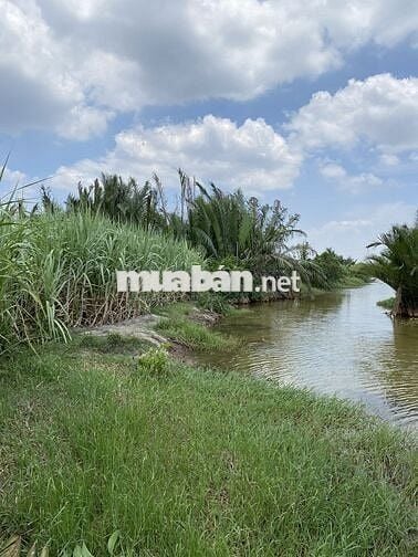 Kẹt tiền cần bán nhanh 3 công đất tại Phước Khánh, Nhơn Trạch