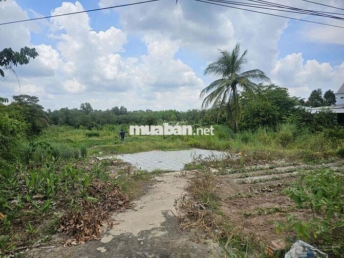bán 5592m2 đất mặt tiền ĐT 748 + view sông thị tính tại An Điền