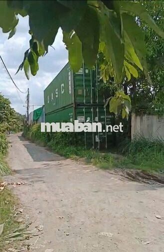 XƯỞNG 2 MẶT TIỀN FULL THỔ CƯ, ĐƯỜNG CONTAINER, NHỊ BÌNH, HÓC MÔN