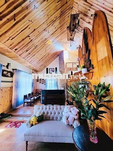 🏡 BÁN VILLA MẶT TIỀN ĐƯỜNG TRỊNH HOÀI ĐỨC - VIEW CỰC THOÁNG - 335M2