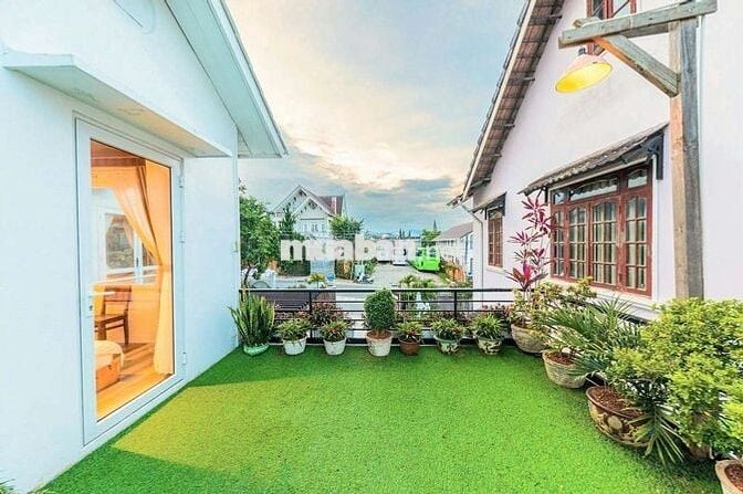 🏡 VILLA SÂN VƯỜN - THIẾT KẾ ĐẸP NGAY PHỐ - ĐƯỜNG TRƯỚC NHÀ 8M - 378M2