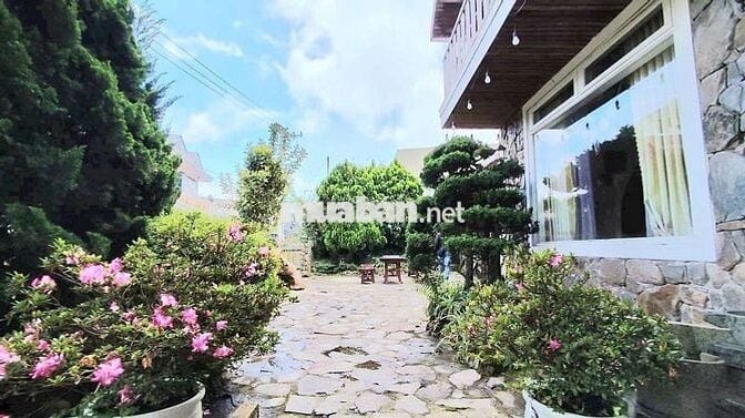 🏡 BÁN VILLA MẶT TIỀN ĐƯỜNG TRỊNH HOÀI ĐỨC - VIEW CỰC THOÁNG - 335M2