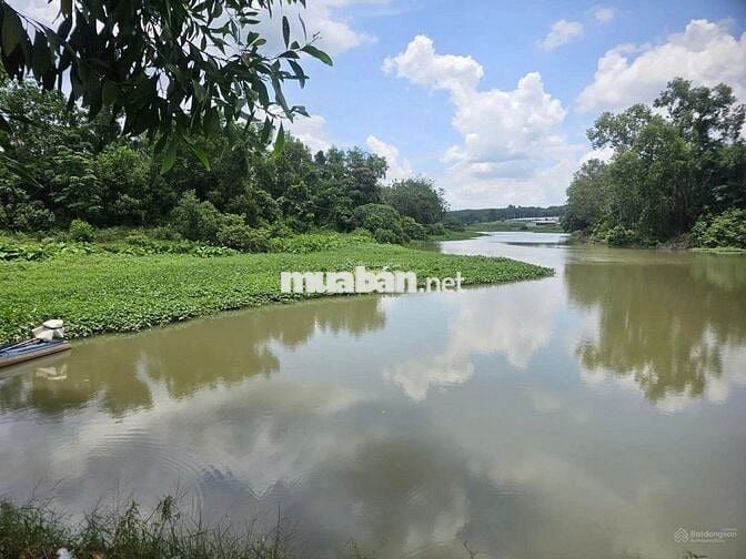 bán 5592m2 đất mặt tiền ĐT 748 + view sông thị tính tại An Điền