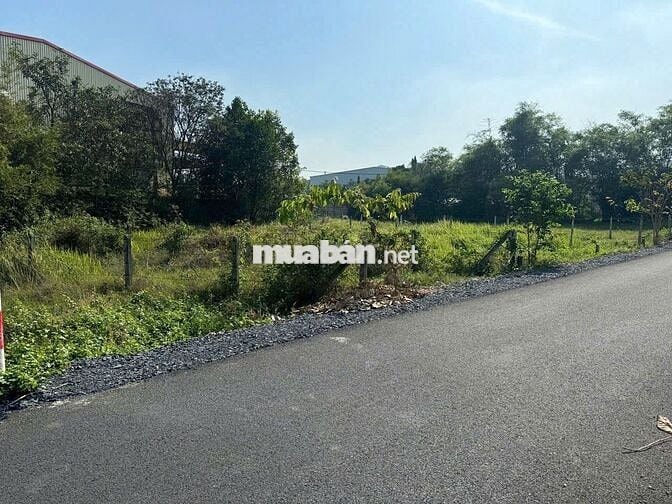 CẦN VỐN LÀM ĂN, CHỦ GỬI BÁN LÔ ĐẤT 100M2, BA SA, PHƯỚC HIỆP. GIÁ 550TR
