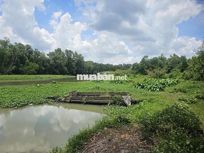 bán 5592m2 đất mặt tiền ĐT 748 + view sông thị tính tại An Điền