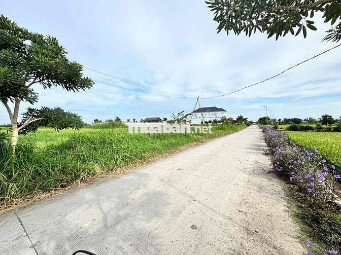 Đất nền đầu tư, giá đầu tư 430tr/180m2. xã Tân Trung, TP Gò Công